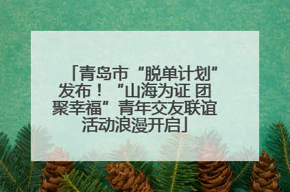 青岛市“脱单计划”发布！“山海为证 团聚幸福”青年交友联谊活动浪漫开启