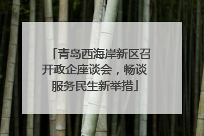 青岛西海岸新区召开政企座谈会，畅谈服务民生新举措