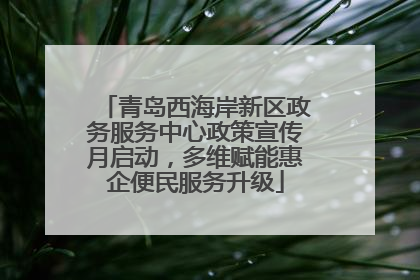 青岛西海岸新区政务服务中心政策宣传月启动，多维赋能惠企便民服务升级