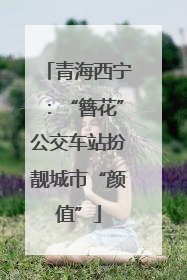 青海西宁：“簪花”公交车站扮靓城市“颜值”