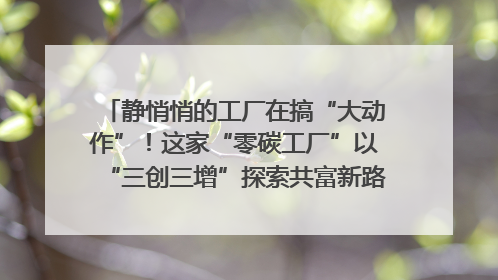 静悄悄的工厂在搞“大动作”！这家“零碳工厂”以“三创三增”探索共富新路径｜网络名人四川行