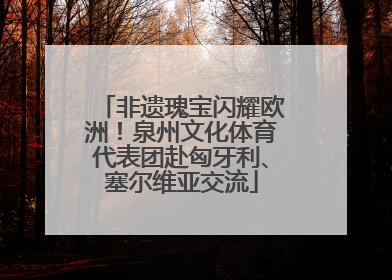 非遗瑰宝闪耀欧洲！泉州文化体育代表团赴匈牙利、塞尔维亚交流