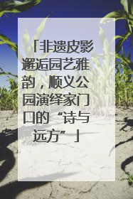非遗皮影邂逅园艺雅韵，顺义公园演绎家门口的“诗与远方”