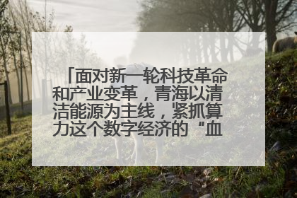 面对新一轮科技革命和产业变革,青海以清洁能源为主线,紧抓算力这个数字经济的“血液”、科技主权的“筹码”、产业升级的“杠杆”、绿色转型的“支点”,勇于撬动国家“双碳”战略、“东数西算”工程重大发展新机遇,点亮绿色算电协同新赛道,蹚出一条符合本地实际的高质量发展之路——青海:“绿色算力” 锚定“东数西算”国家战略布局