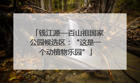 钱江源—百山祖国家公园候选区：“这是一个动植物乐园”