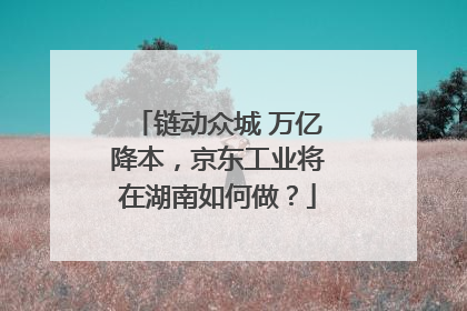 链动众城 万亿降本，京东工业将在湖南如何做？