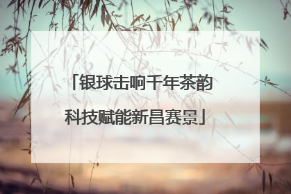 银球击响千年茶韵 科技赋能新昌赛景