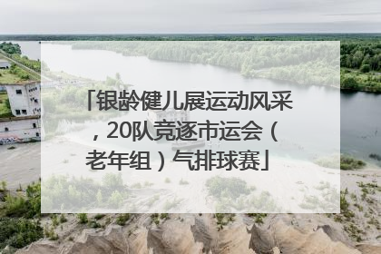 银龄健儿展运动风采，20队竞逐市运会（老年组）气排球赛