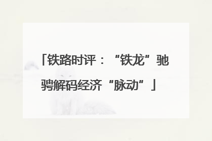 铁路时评：“铁龙”驰骋解码经济“脉动”