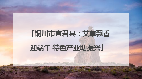 铜川市宜君县：艾草飘香迎端午 特色产业助振兴