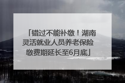 错过不能补缴！湖南灵活就业人员养老保险缴费期延长至6月底