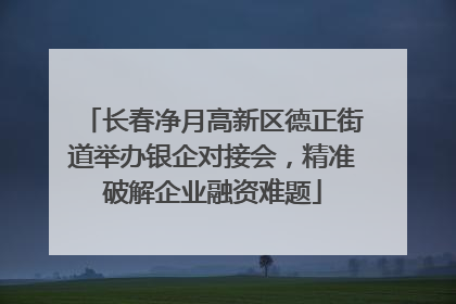 长春净月高新区德正街道举办银企对接会，精准破解企业融资难题