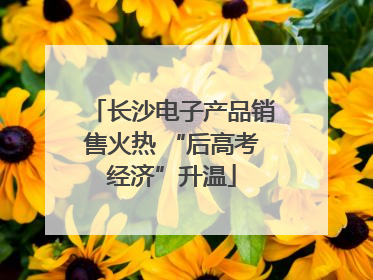 长沙电子产品销售火热 “后高考经济”升温