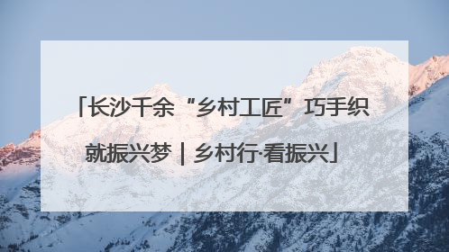 长沙千余“乡村工匠”巧手织就振兴梦｜乡村行·看振兴
