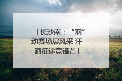 长沙南：“羽”动赛场展风采 汗洒征途竞锋芒