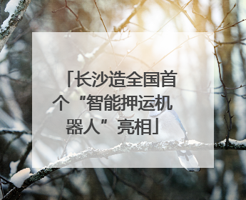 长沙造全国首个“智能押运机器人”亮相