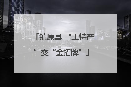镇原县 “土特产”变“金招牌”