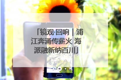 镜观·回响｜浦江奔涌传薪火 海派融新纳百川