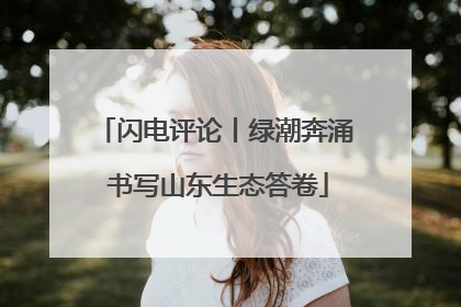 闪电评论丨绿潮奔涌 书写山东生态答卷