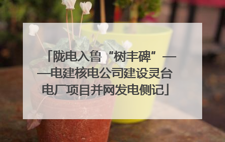 陇电入鲁“树丰碑”——电建核电公司建设灵台电厂项目并网发电侧记