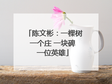 陈文彬：一棵树 一个庄 一块碑 一位英雄