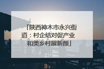 陕西神木市永兴街道：村企结对促产业 和美乡村展新颜