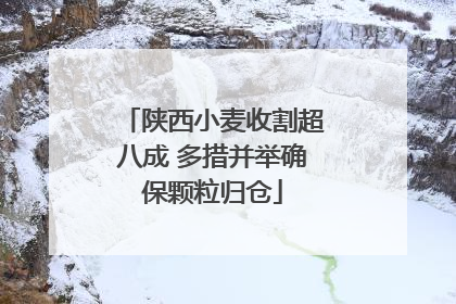 陕西小麦收割超八成 多措并举确保颗粒归仓