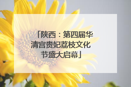 陕西：第四届华清宫贵妃荔枝文化节盛大启幕