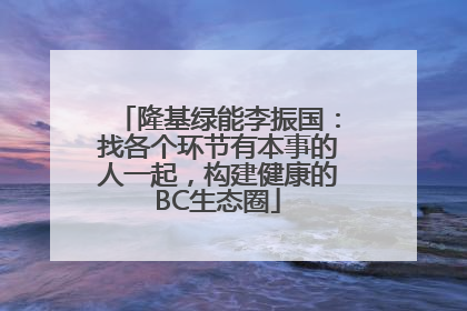 隆基绿能李振国：找各个环节有本事的人一起，构建健康的BC生态圈
