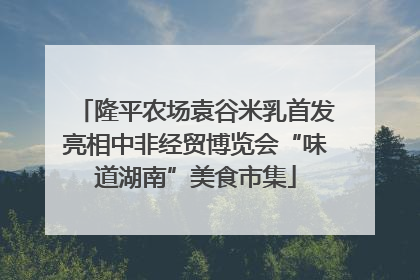 隆平农场袁谷米乳首发亮相中非经贸博览会“味道湖南”美食市集