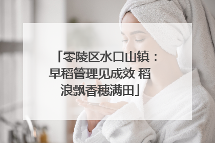 零陵区水口山镇：早稻管理见成效 稻浪飘香穗满田