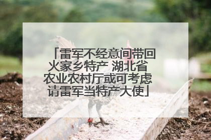 雷军不经意间带回火家乡特产 湖北省农业农村厅或可考虑请雷军当特产大使