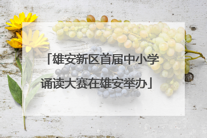 雄安新区首届中小学诵读大赛在雄安举办