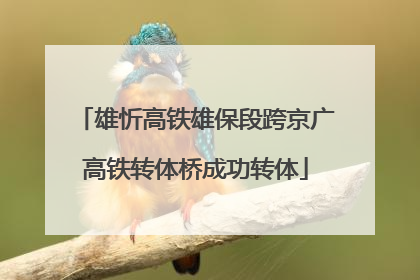雄忻高铁雄保段跨京广高铁转体桥成功转体