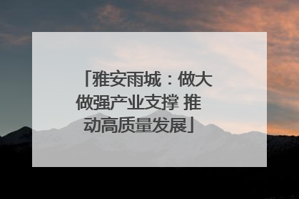 雅安雨城：做大做强产业支撑 推动高质量发展