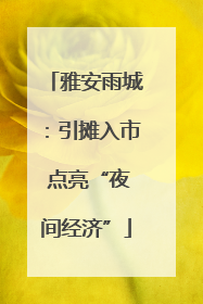 雅安雨城：引摊入市 点亮“夜间经济”