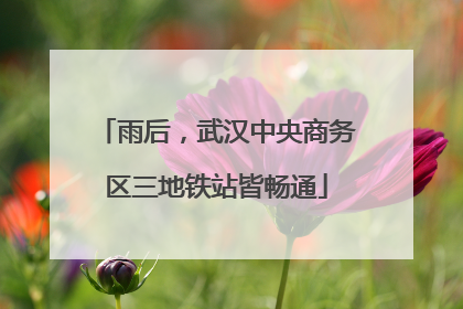 雨后，武汉中央商务区三地铁站皆畅通