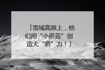 雪域高原上，他们用“小蘑菇”创造大“蘑”力！