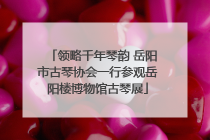 领略千年琴韵 岳阳市古琴协会一行参观岳阳楼博物馆古琴展