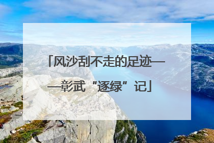 风沙刮不走的足迹——彰武“逐绿”记