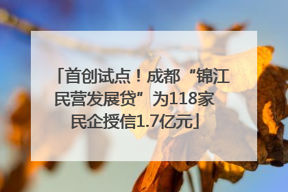 首创试点！成都“锦江民营发展贷”为118家民企授信1.7亿元