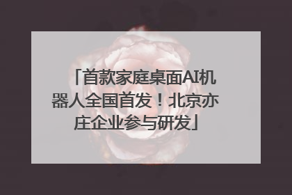 首款家庭桌面AI机器人全国首发！北京亦庄企业参与研发
