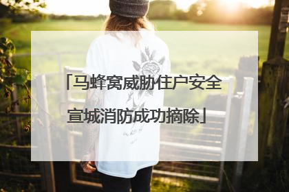 马蜂窝威胁住户安全 宣城消防成功摘除