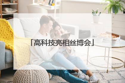 高科技亮相丝博会
