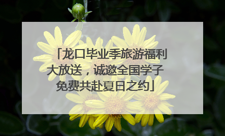 龙口毕业季旅游福利大放送，诚邀全国学子免费共赴夏日之约