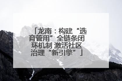 龙南：构建“选育管用”全链条闭环机制 激活社区治理“新引擎”