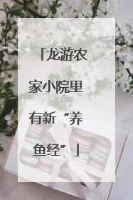 龙游农家小院里有新“养鱼经”