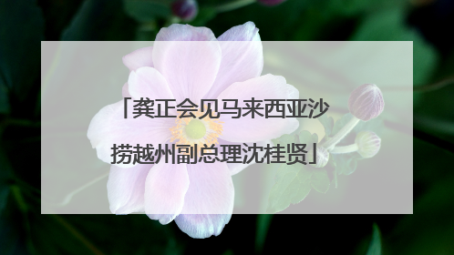 龚正会见马来西亚沙捞越州副总理沈桂贤