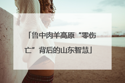 鲁中肉羊高原“零伤亡”背后的山东智慧