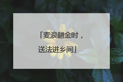 麦浪翻金时，送法进乡间